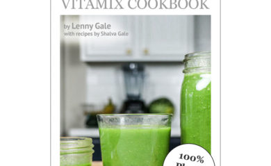 The Perfect Mix v3.0 Lifeisnoyoyokes Vitamix Cookbook cover SQUARE SM